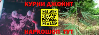 МДПВ Ливны