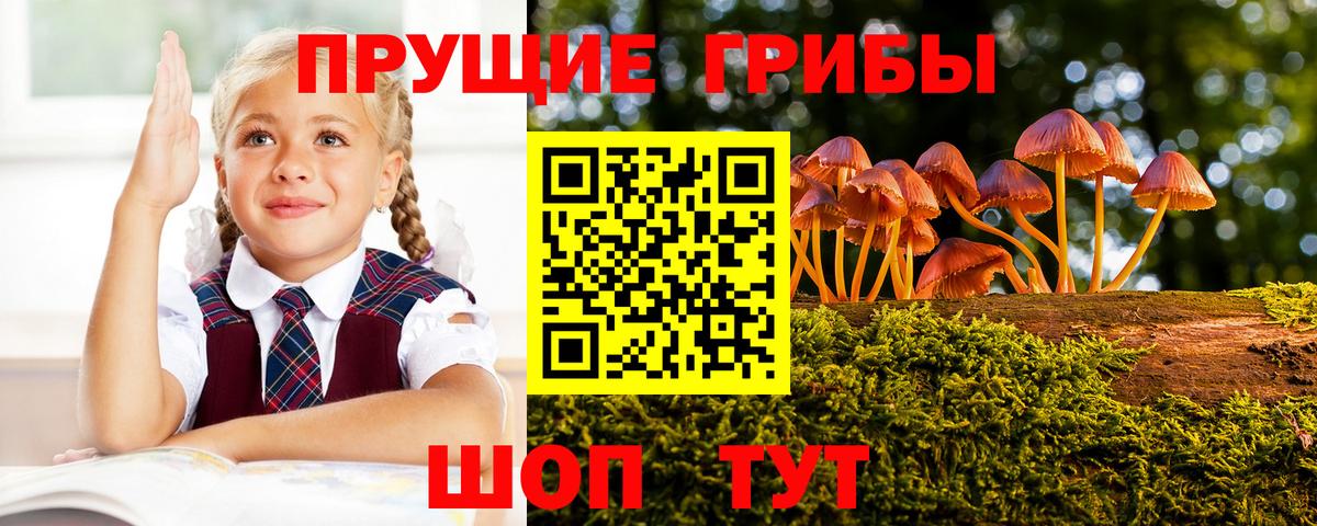 Заводоуковск  магазин продажи наркотиков  Вход с VPN  Галлюциногенные грибы GOLDEN TEACHER 